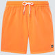 OAKLEY - ROBINSON RC 16 BEACHSHORT Men - Rev Online